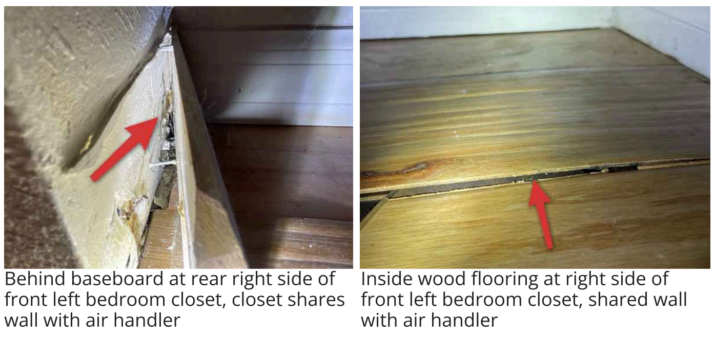 Water-damaged flooring with mold growth in front left bedroom closet